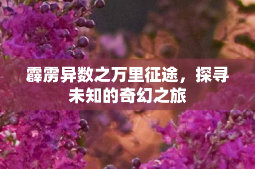 霹雳异数之万里征途，探寻未知的奇幻之旅