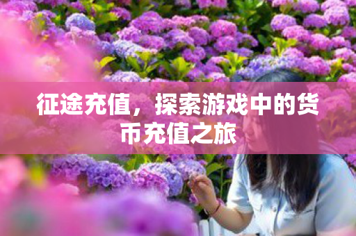 征途充值，探索游戏中的货币充值之旅