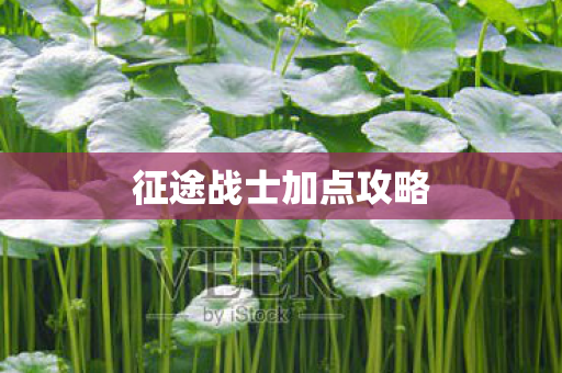 征途战士加点攻略