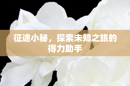 征途小秘，探索未知之旅的得力助手