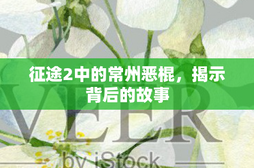 征途2中的常州恶棍，揭示背后的故事