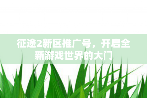 征途2新区推广号，开启全新游戏世界的大门