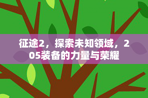征途2，探索未知领域，205装备的力量与荣耀