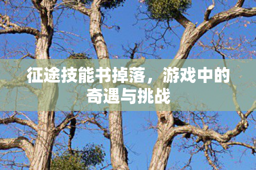 征途技能书掉落,游戏中的奇遇与挑战 征途技能书掉落,游戏中的奇遇与挑战