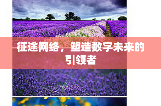 征途网络,塑造数字未来的引领者 征途网络,塑造数字未来的引领者