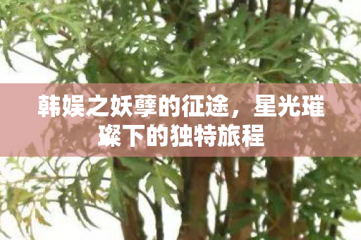 韩娱之妖孽的征途,星光璀璨下的独特旅程 韩娱之妖孽的征途,星光璀璨下的独特旅程