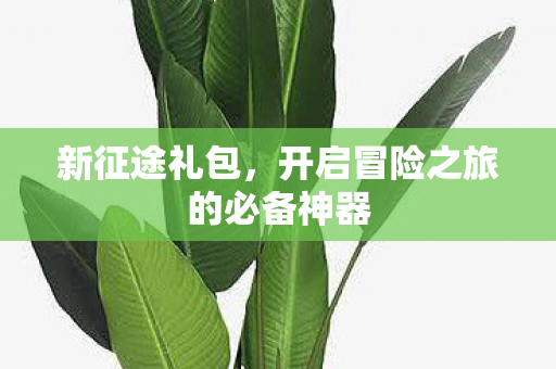 新征途礼包，开启冒险之旅的必备神器