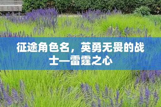 征途角色名，英勇无畏的战士—雷霆之心