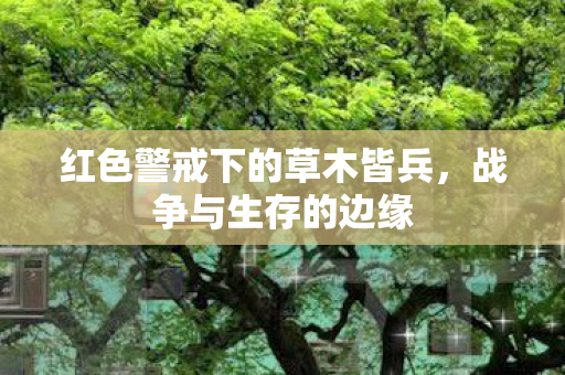红色警戒下的草木皆兵，战争与生存的边缘