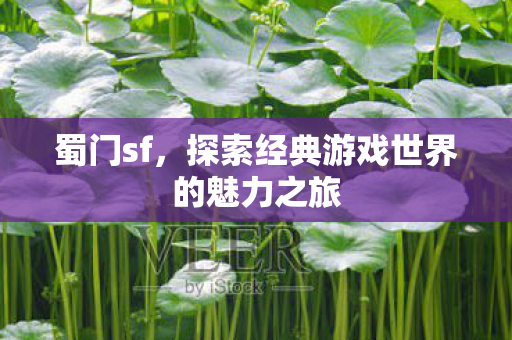 蜀门sf，探索经典游戏世界的魅力之旅