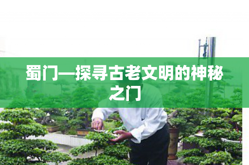 蜀门—探寻古老文明的神秘之门