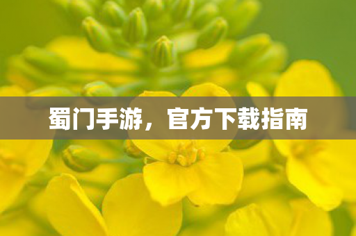 蜀门手游，官方下载指南