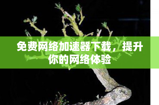 免费网络加速器下载，提升你的网络体验