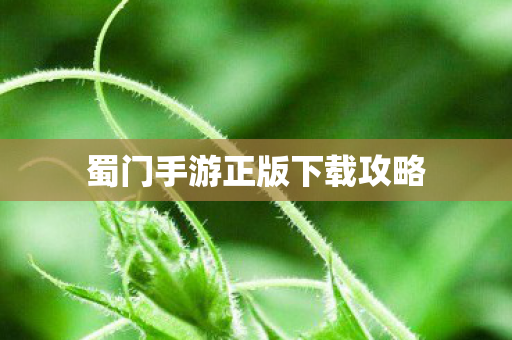 蜀门手游正版下载攻略