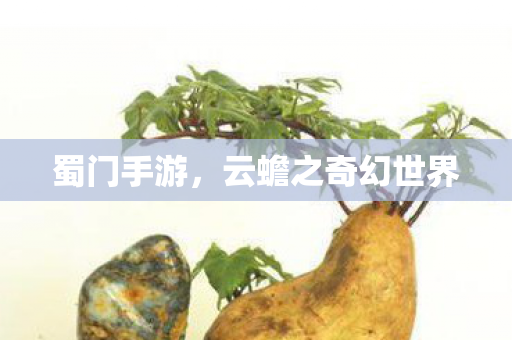 蜀门手游，云蟾之奇幻世界