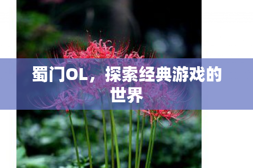 蜀门OL，探索经典游戏的世界