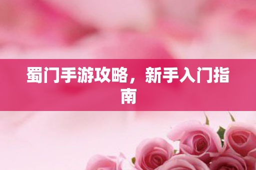 蜀门手游攻略，新手入门指南