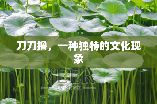 刀刀撸，一种独特的文化现象