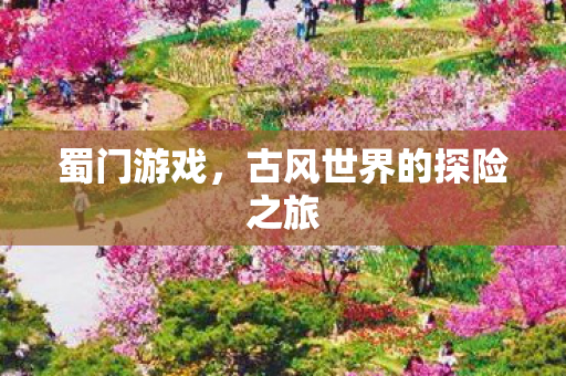 蜀门游戏,古风世界的探险之旅 蜀门游戏,古风世界的探险之旅