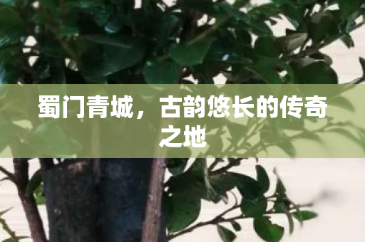 蜀门青城，古韵悠长的传奇之地