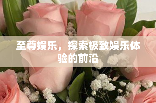 至尊娱乐，探索极致娱乐体验的前沿