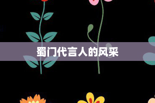 蜀门代言人的风采
