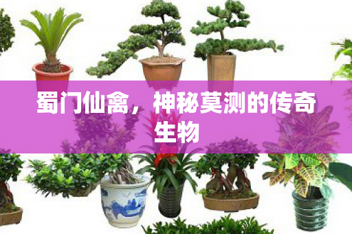 蜀门仙禽，神秘莫测的传奇生物