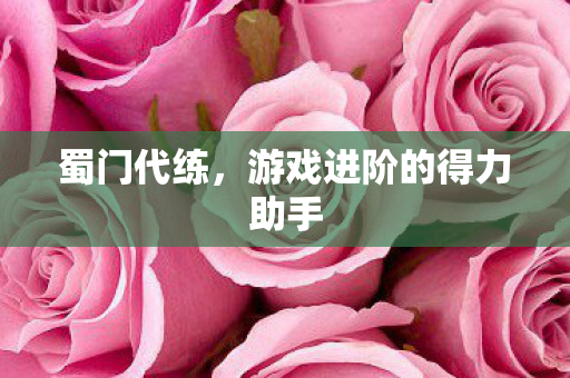 蜀门代练,游戏进阶的得力助手 蜀门代练,游戏进阶的得力助手
