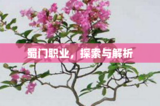 蜀门职业,探索与解析 蜀门职业,探索与解析