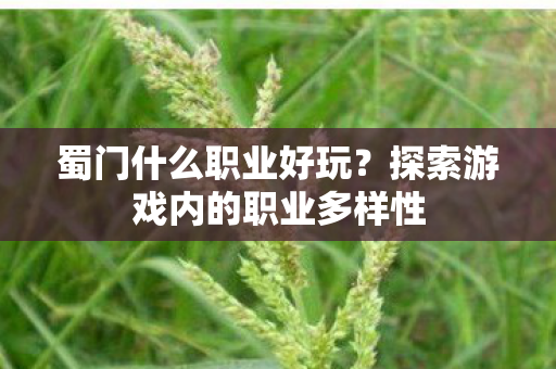 蜀门什么职业好玩？探索游戏内的职业多样性