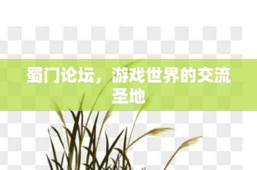 蜀门论坛，游戏世界的交流圣地