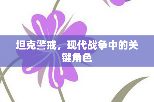 坦克警戒，现代战争中的关键角色
