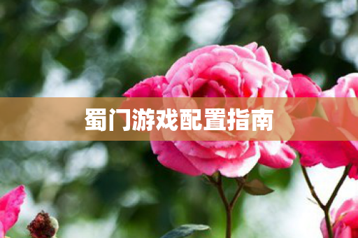 蜀门游戏配置指南