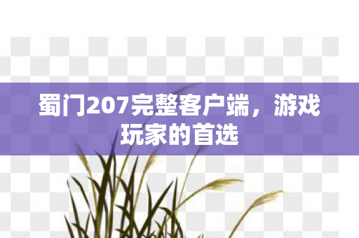 蜀门207完整客户端，游戏玩家的首选