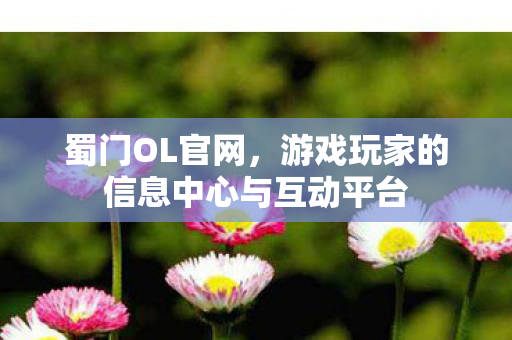 蜀门OL官网,游戏玩家的信息中心与互动平台 蜀门OL官网,游戏玩家的信息中心与互动平台