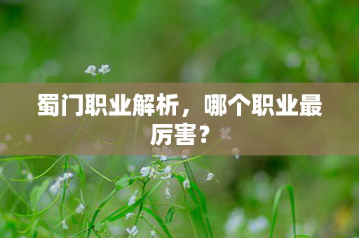 蜀门职业解析，哪个职业最厉害？