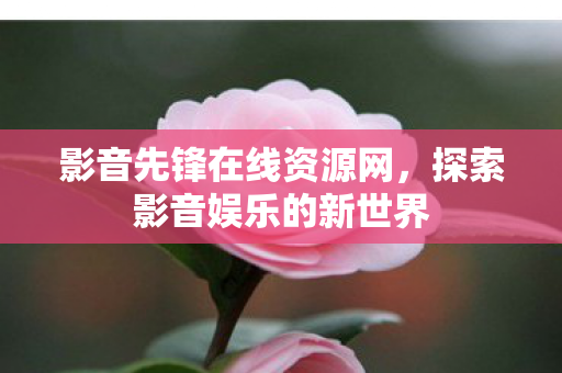 影音先锋在线资源网，探索影音娱乐的新世界