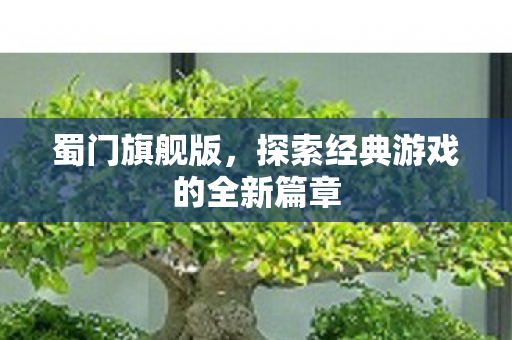 蜀门旗舰版，探索经典游戏的全新篇章