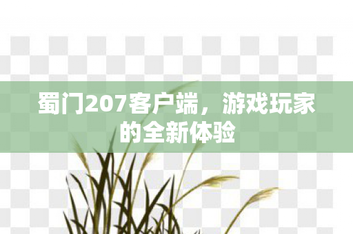 蜀门207客户端，游戏玩家的全新体验