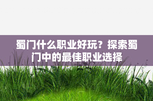 蜀门什么职业好玩？探索蜀门中的最佳职业选择