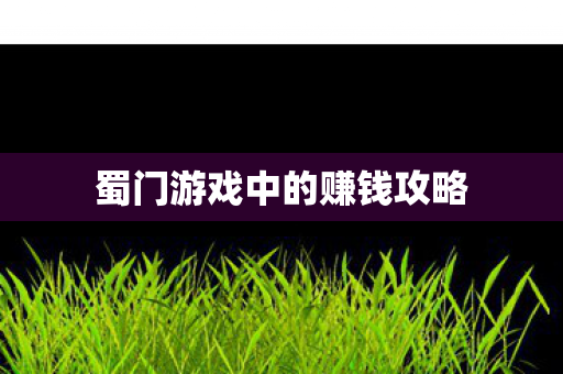 蜀门游戏中的赚钱攻略