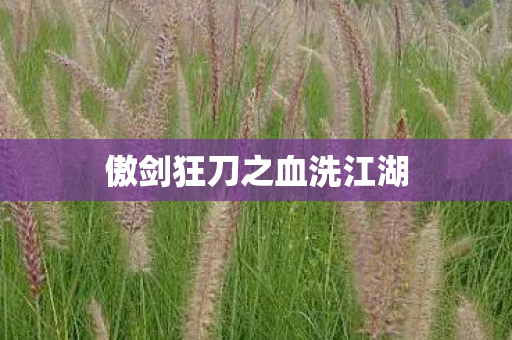 傲剑狂刀之血洗江湖