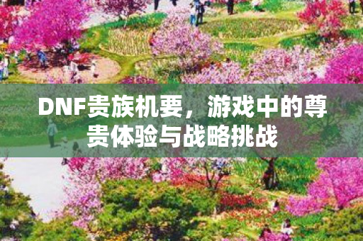 DNF贵族机要，游戏中的尊贵体验与战略挑战
