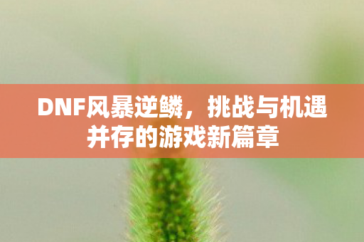 DNF风暴逆鳞，挑战与机遇并存的游戏新篇章