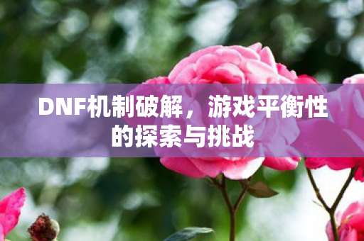 DNF机制破解，游戏平衡性的探索与挑战