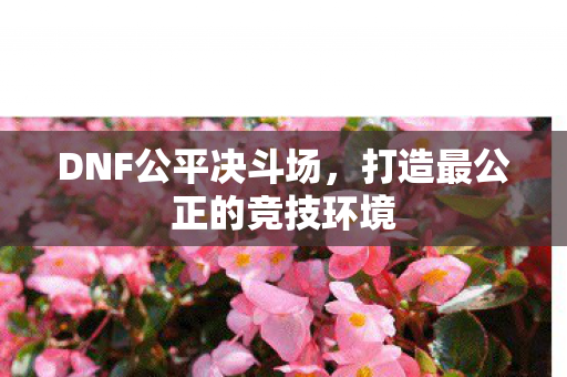 DNF公平决斗场,打造最公正的竞技环境 DNF公平决斗场,打造最公正的竞技环境