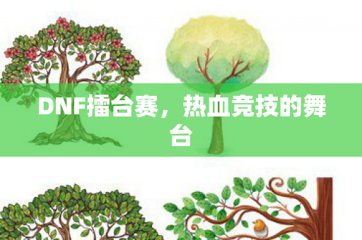 DNF擂台赛,热血竞技的舞台 DNF擂台赛,热血竞技的舞台