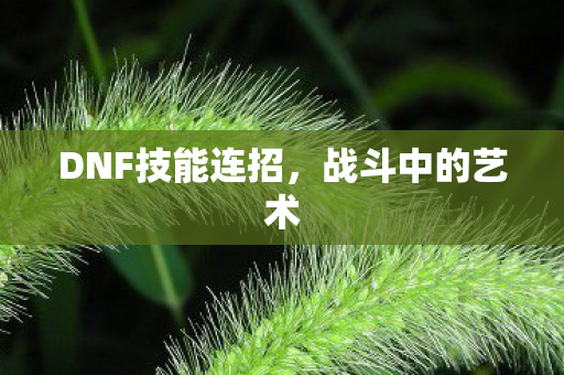 DNF技能连招，战斗中的艺术