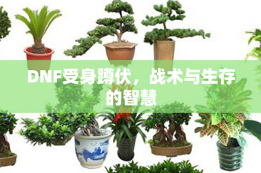 DNF受身蹲伏，战术与生存的智慧