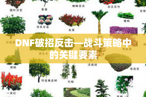 DNF破招反击—战斗策略中的关键要素
